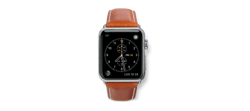 Pasek OPASKA Apple Watch 38mm / 40mm