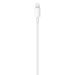 Kabel USB Apple USB-C na Apple Lightning 1m (MX0K2ZM/A) ORYGINALNY