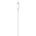 Kabel USB Apple USB typ A na Apple Lightning 1A 1m (MQUE2ZM/A) ORYGINALNY