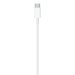 Kabel USB Apple USB typ C na Apple Lightning 2A 1m (MQGj2ZMA) ORYGINALNY